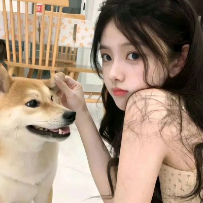 沙普的鹰饰